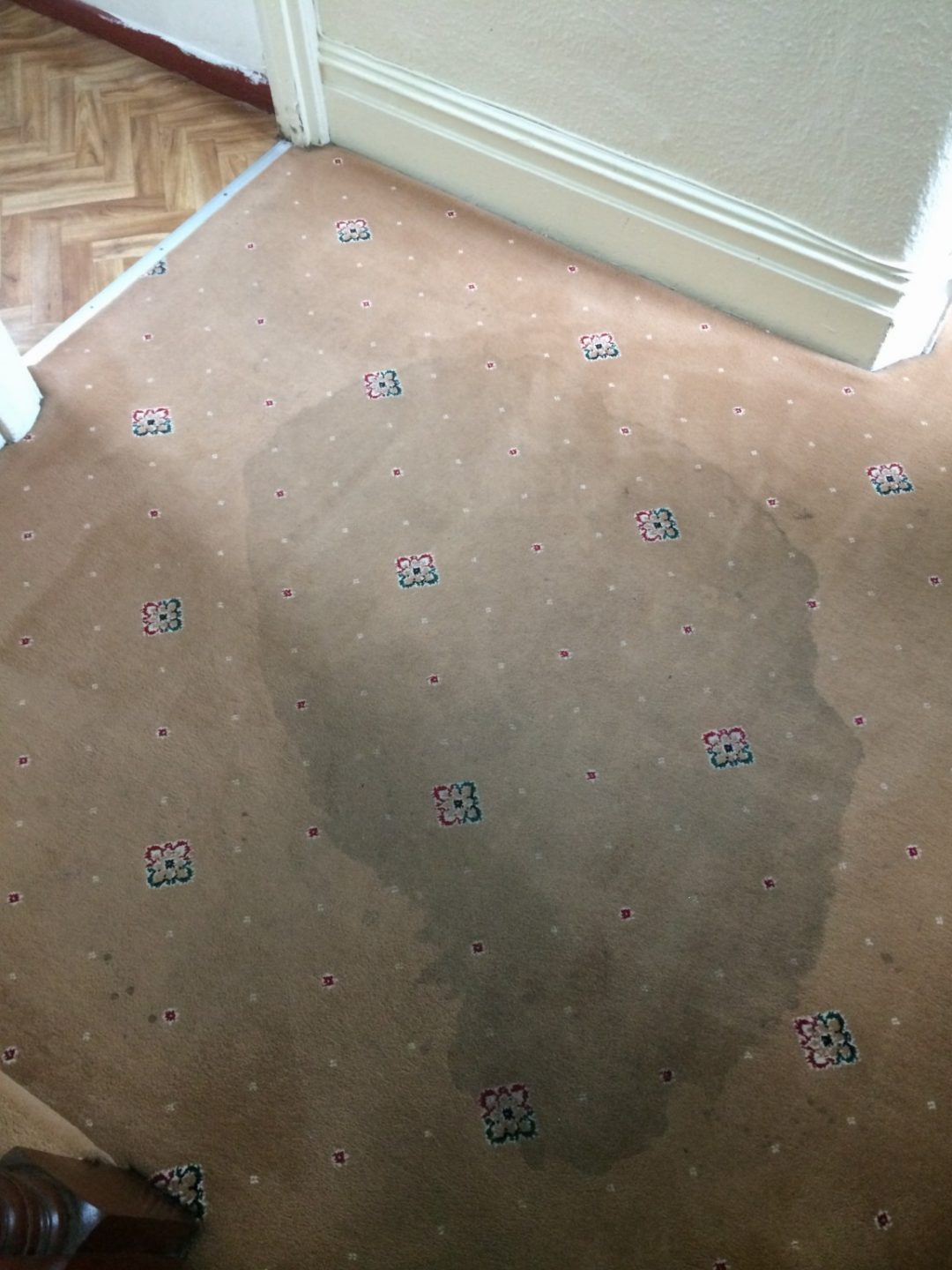 Carpet-cleaning-Upminster-Essex1