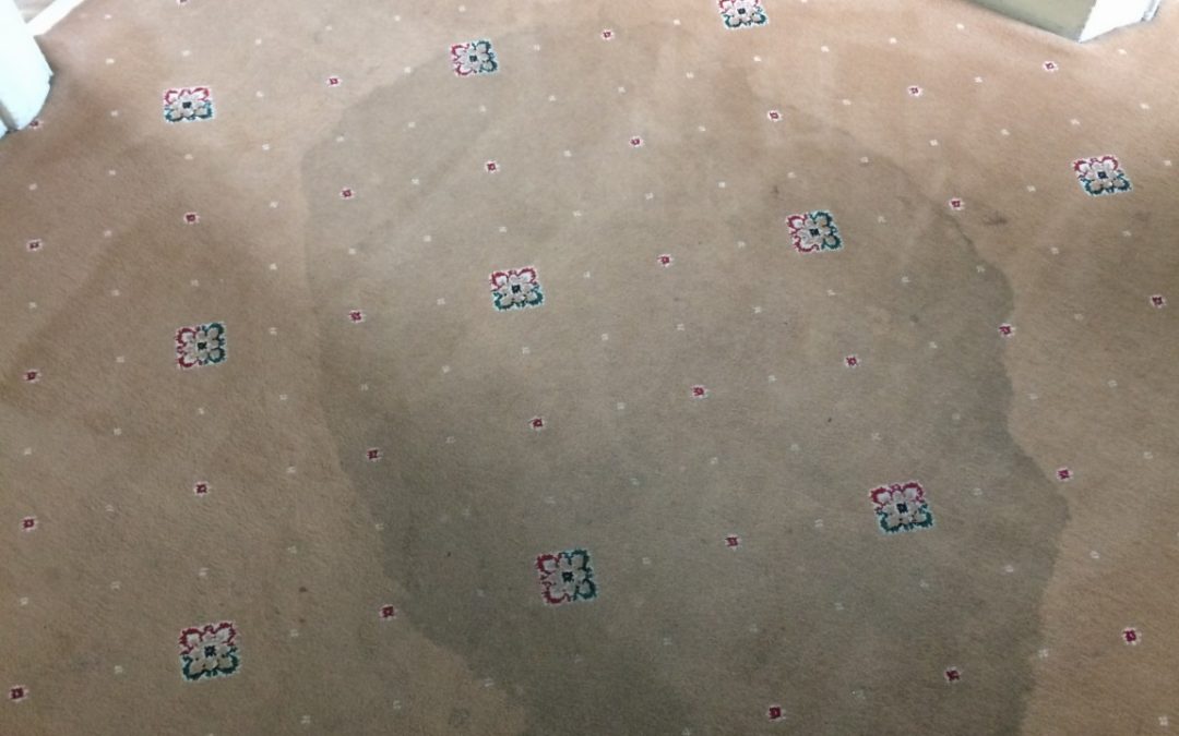Carpet Cleaning Upminster Essex