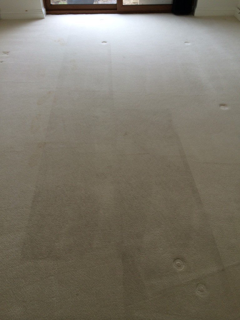 Carpet cleaning Basildon Essex