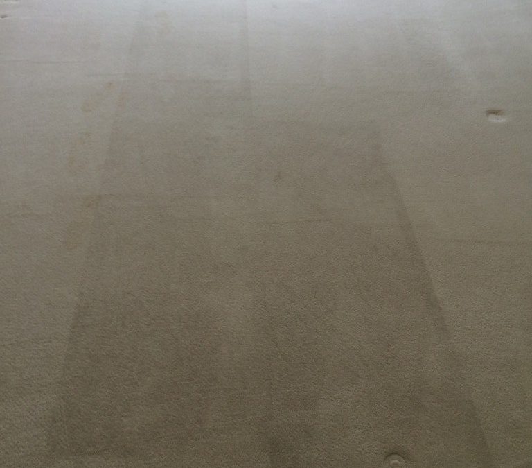 Carpet Cleaning in Basildon