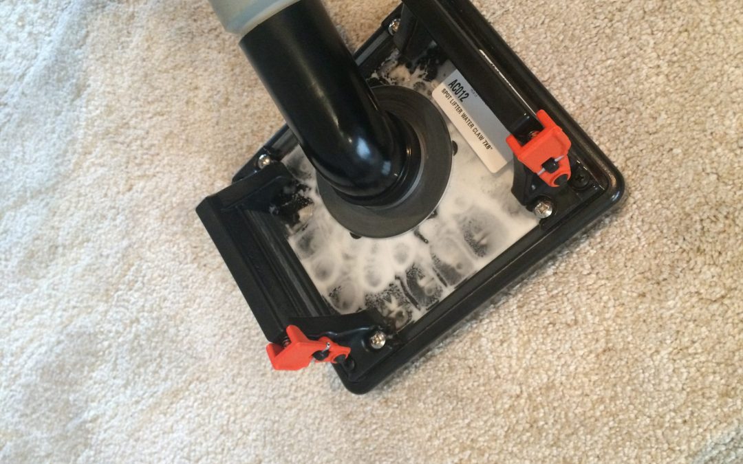 Carpet Cleaning