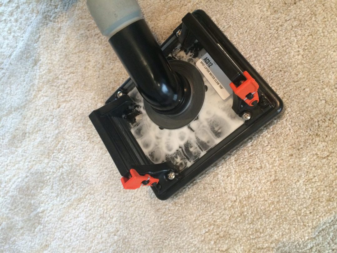 Carpet cleaning in Essex
